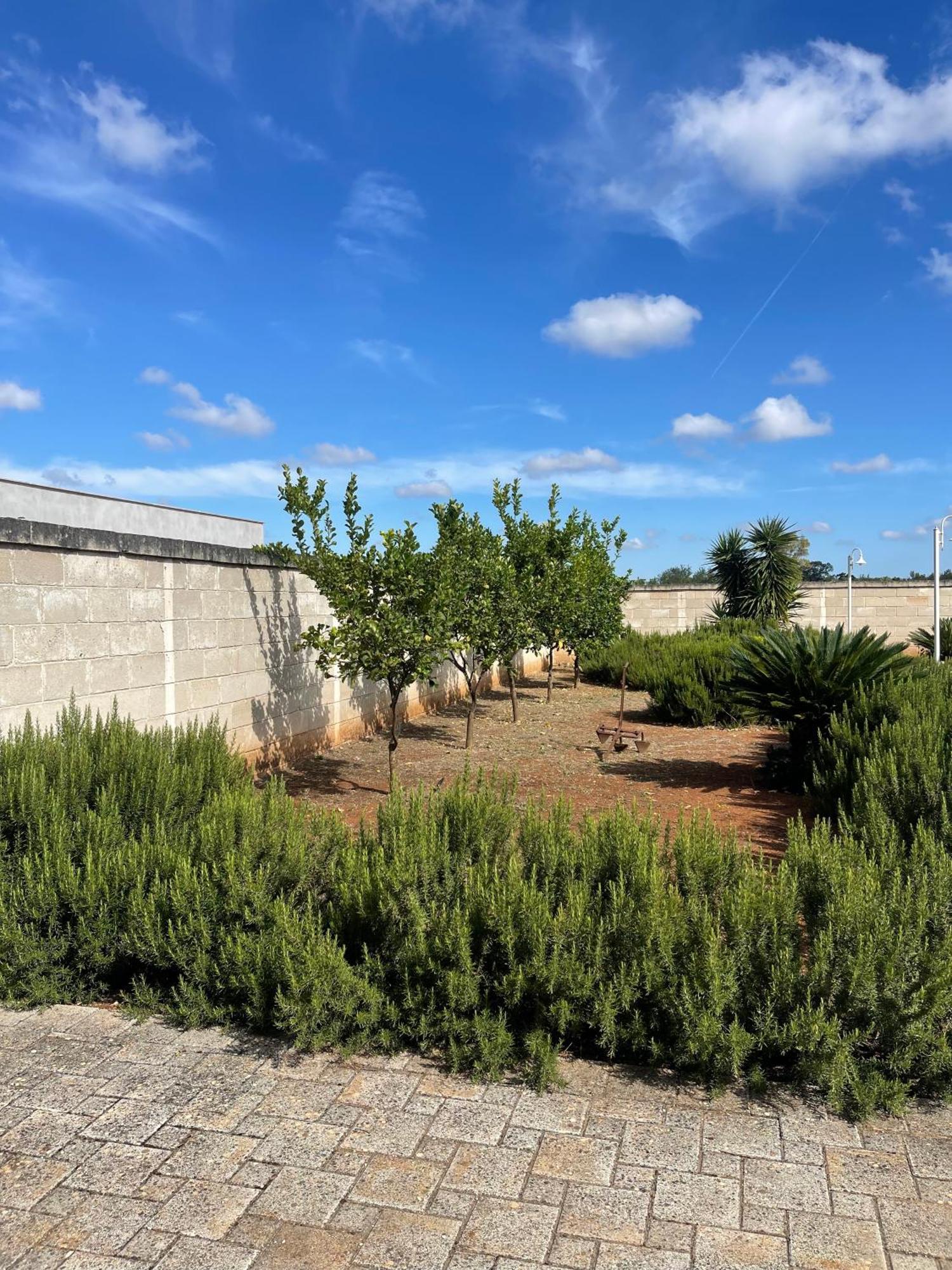 Masseria Don Bonifacio 卡斯特拉纳格罗泰 外观 照片