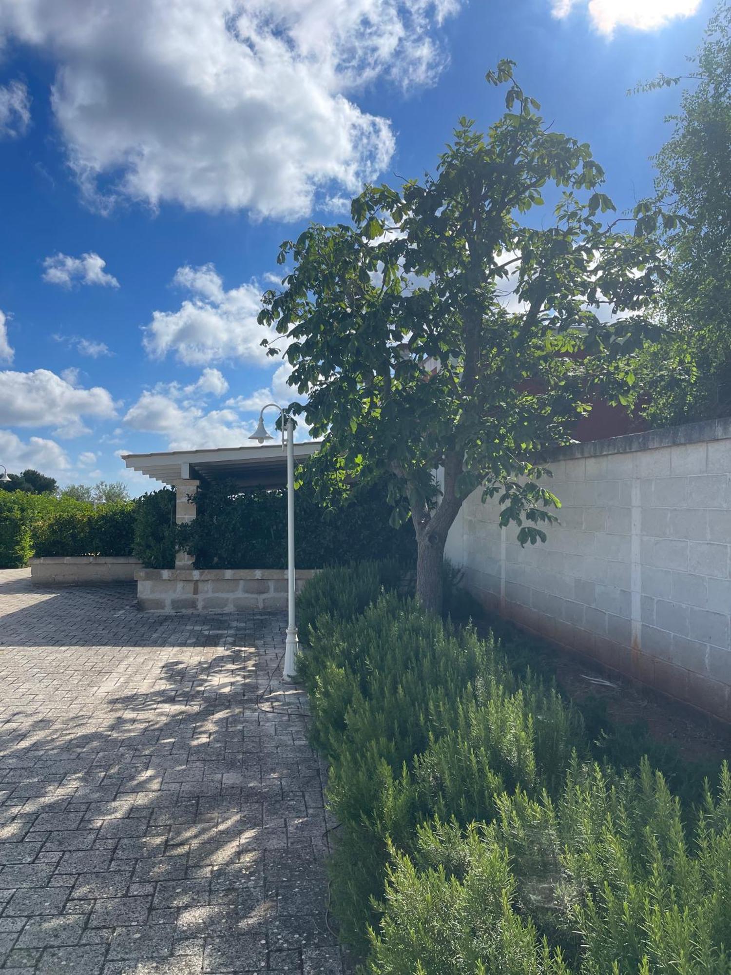 Masseria Don Bonifacio 卡斯特拉纳格罗泰 外观 照片